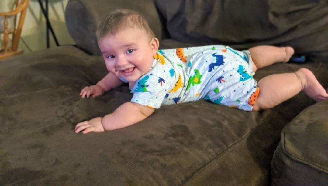 Baby Dinosaur Print Bodysuit