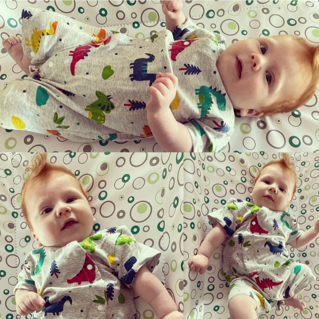 Baby Dinosaur Print Bodysuit