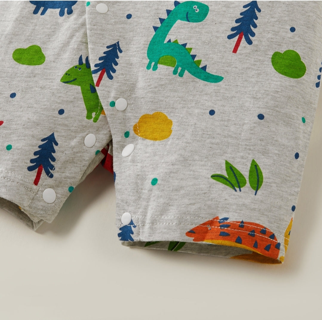 Baby Dinosaur Print Bodysuit