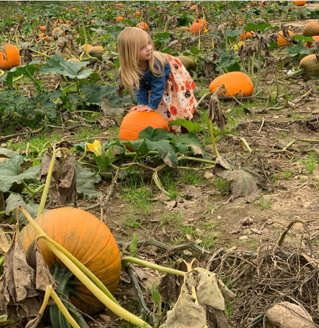 FINAL SALE-Baby Girl Halloween Denim Dress
