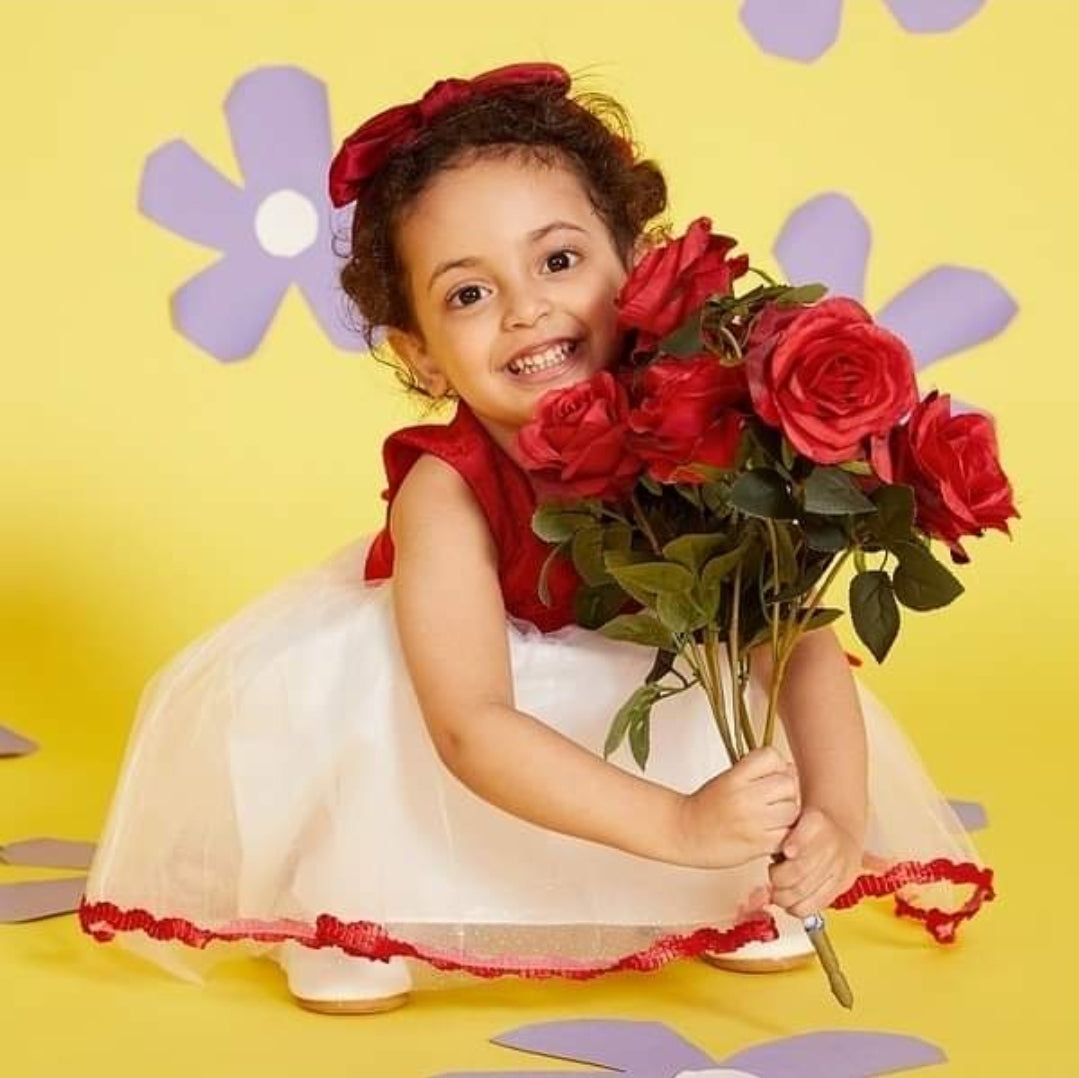 Baby Girl Sweet Costumes Solid Tutu Dress Princess Formal Dresses