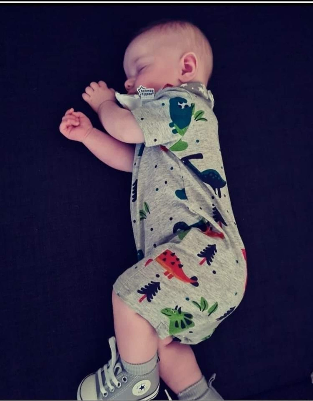 Baby Dinosaur Print Bodysuit